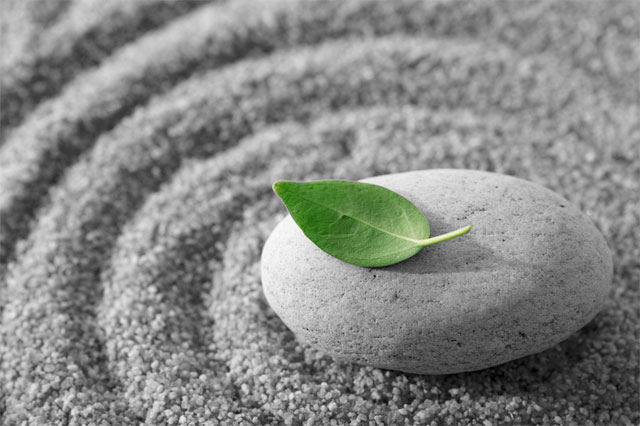  japanese stone garden, clients speak about elizabeth burke's chakra intuition and meditation trainings
